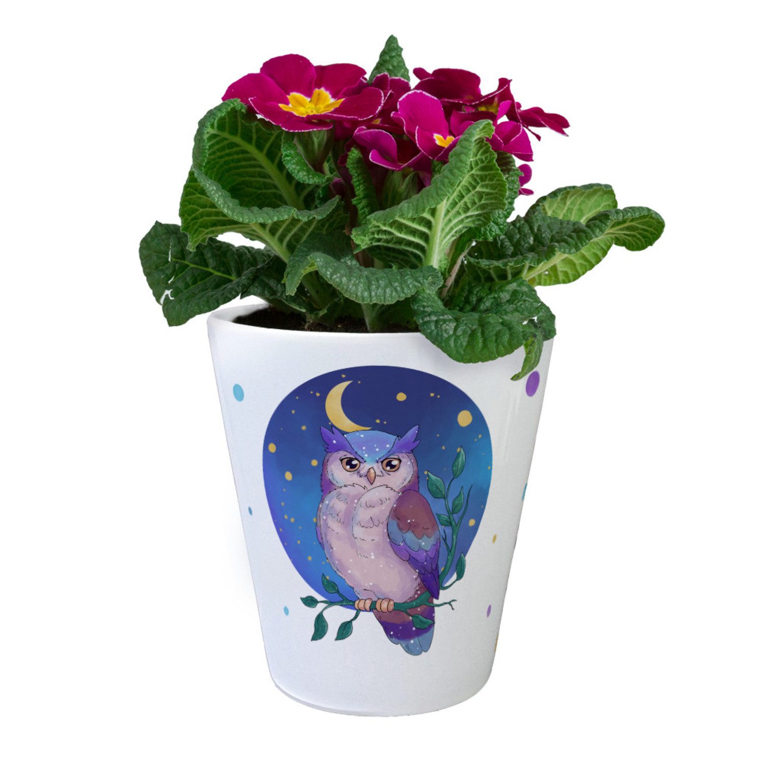 speecheese Blumentopf Eule im Mondschein Blumentopf günstig online kaufen