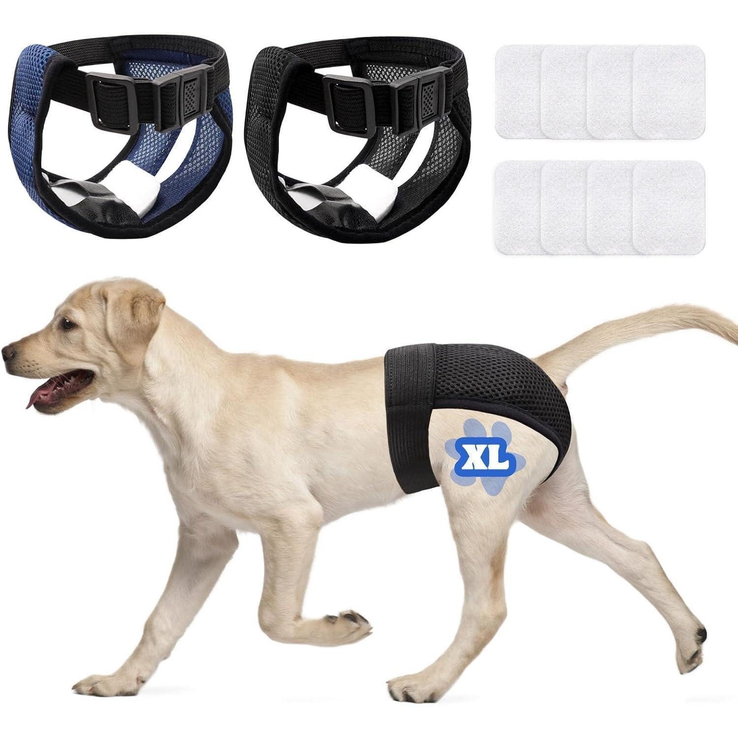 LuxusKollektion Küchenorganizer-Set 2er Pack Hundewindeln Wiederverwendbare Läufigkeitshose Damenbinden XL