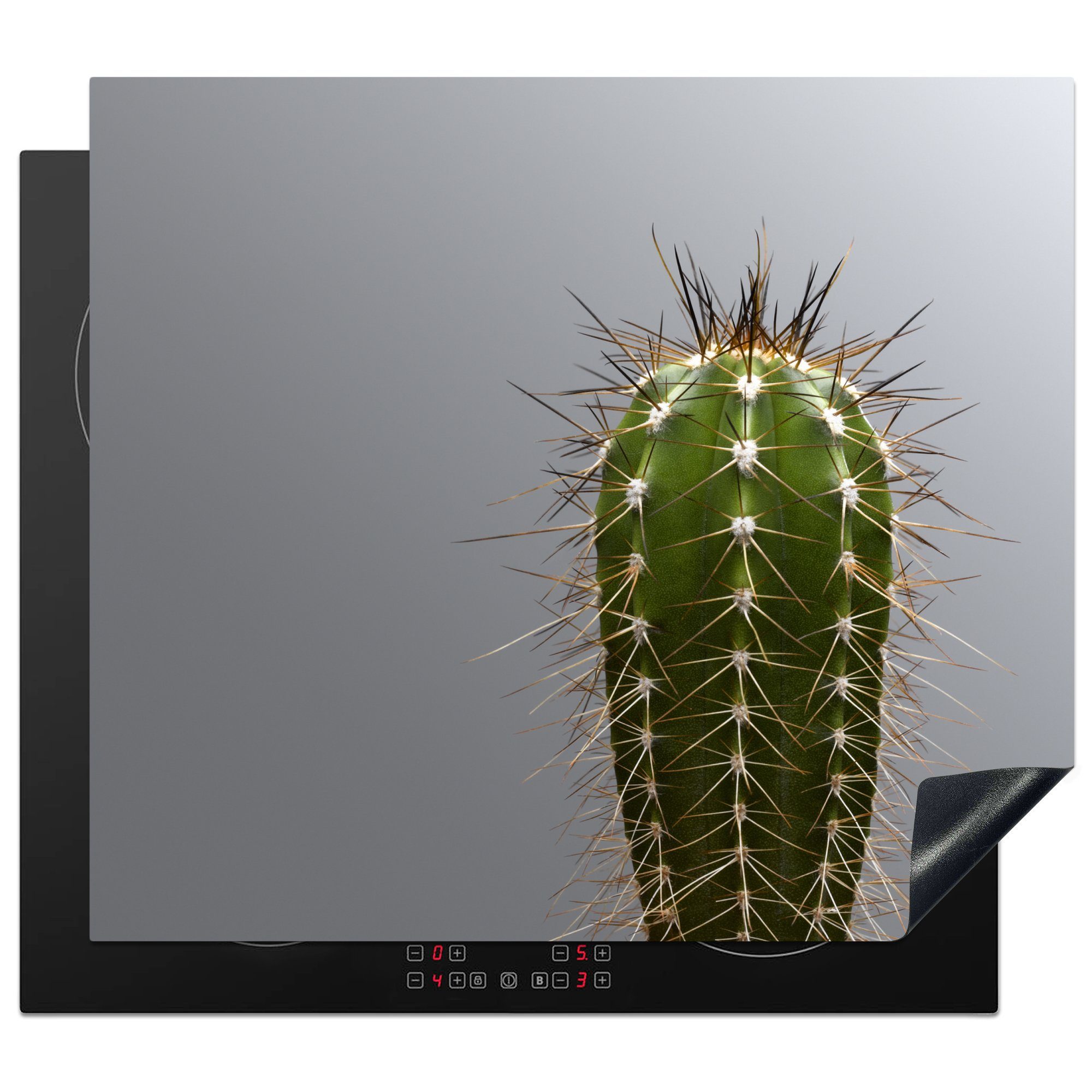 MuchoWow Herdblende-/Abdeckplatte Kaktus botanischer Druck, Vinyl, (1 tlg), 59x52 cm, Ceranfeldabdeckung für die küche, Induktionsmatte
