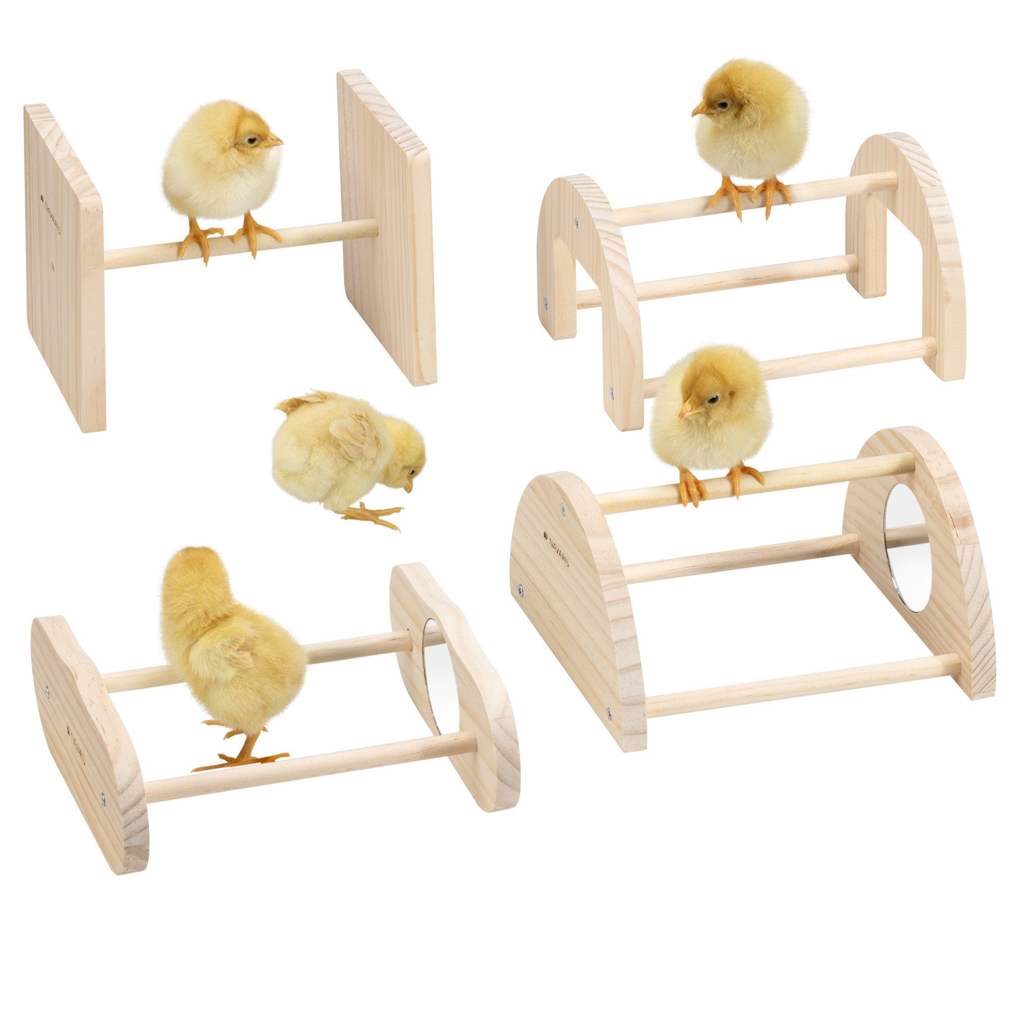 Hühnerstall Vogel-Trainings-Spielzeug - Vogelspielzeug - Spielzeug Vögel