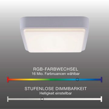 Paul Neuhaus Smarte LED-Leuchte LED Außenleuchte Smart Home Q - LENNY RGB+W, Smart Home, RGB-Farbwechsel, Dimmfunktion, Memoryfunktion, mit Leuchtmittel, Fassaden Wand- Deckenleuchte, dimmbar Farbwechsel