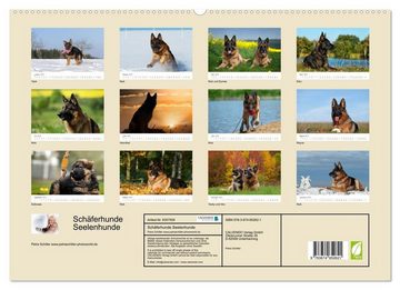 CALVENDO Wandkalender Schäferhunde SeelenhundeCH-Version (Premium, hochwertiger DIN A2 Wandkalender 2023, Kunstdruck in Hochglanz)