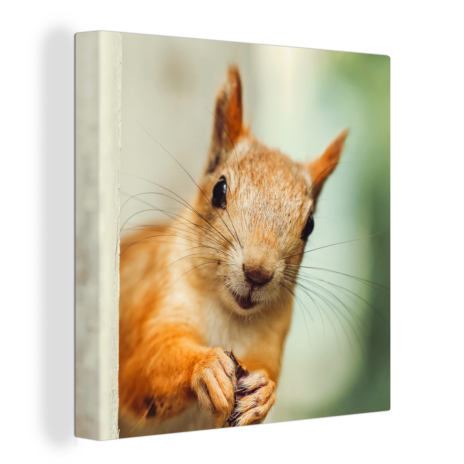 OneMillionCanvasses® Leinwandbild Eichhörnchen - Lustig - Nuss - Kinder - Jungen - Mädchen - Kind, (1 St), Leinwand Bilder für Wohnzimmer Schlafzimmer