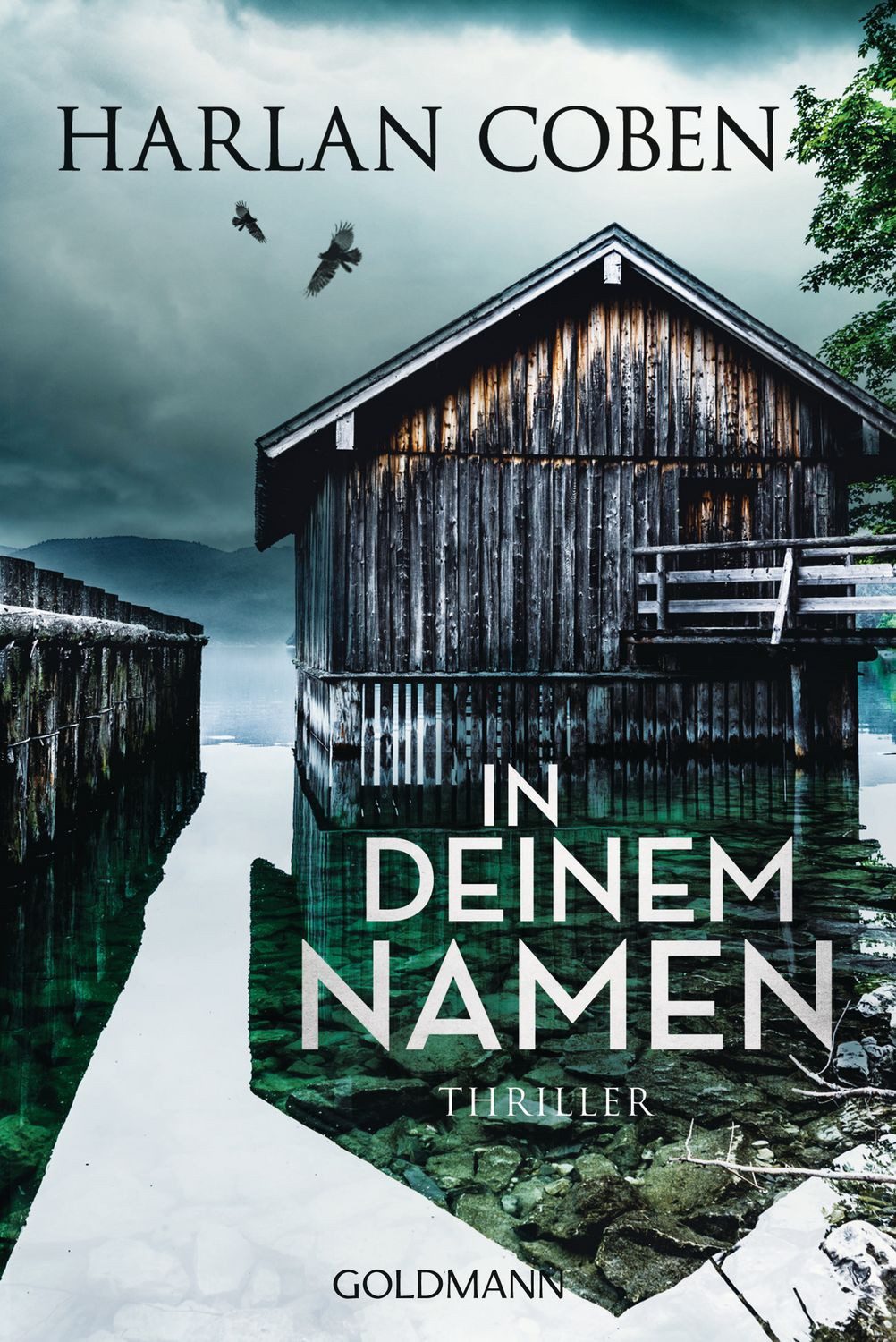 In deinem Namen / Harlan Coben