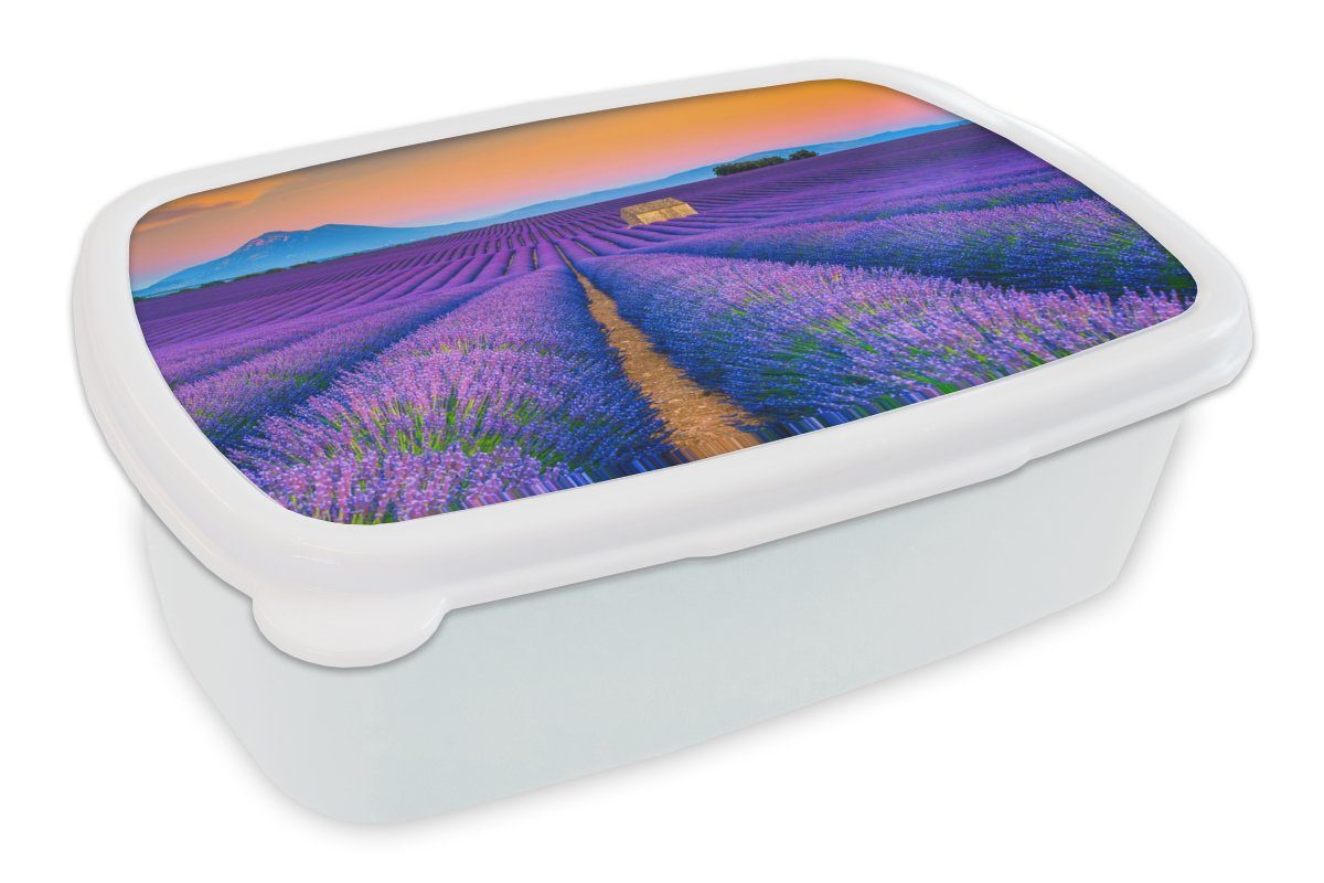 MuchoWow Lunchbox Lavendel - Lila - Blumen, Kunststoff, (2-tlg), Brotbox für Kinder und Erwachsene, Brotdose, für Jungs und Mädchen weiß