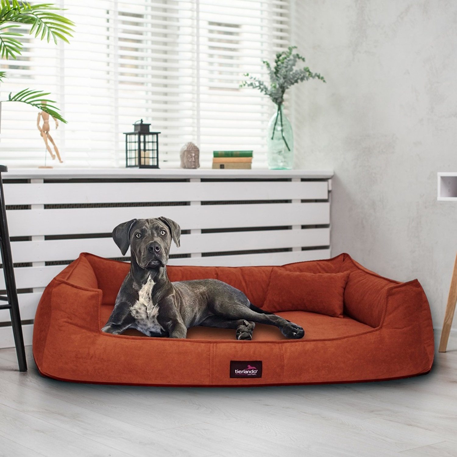 Thumbnail - tierlando® Tierbett Orthopädisches Hundebett BRUCE VELOURS Waschbar Große Hunde, orthopdisch, waschbar, samtweich