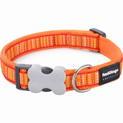 Red Dingo Hunde-Halsband Halsband RD 15 mm x 24-36 cm - Lotzadotz Orange