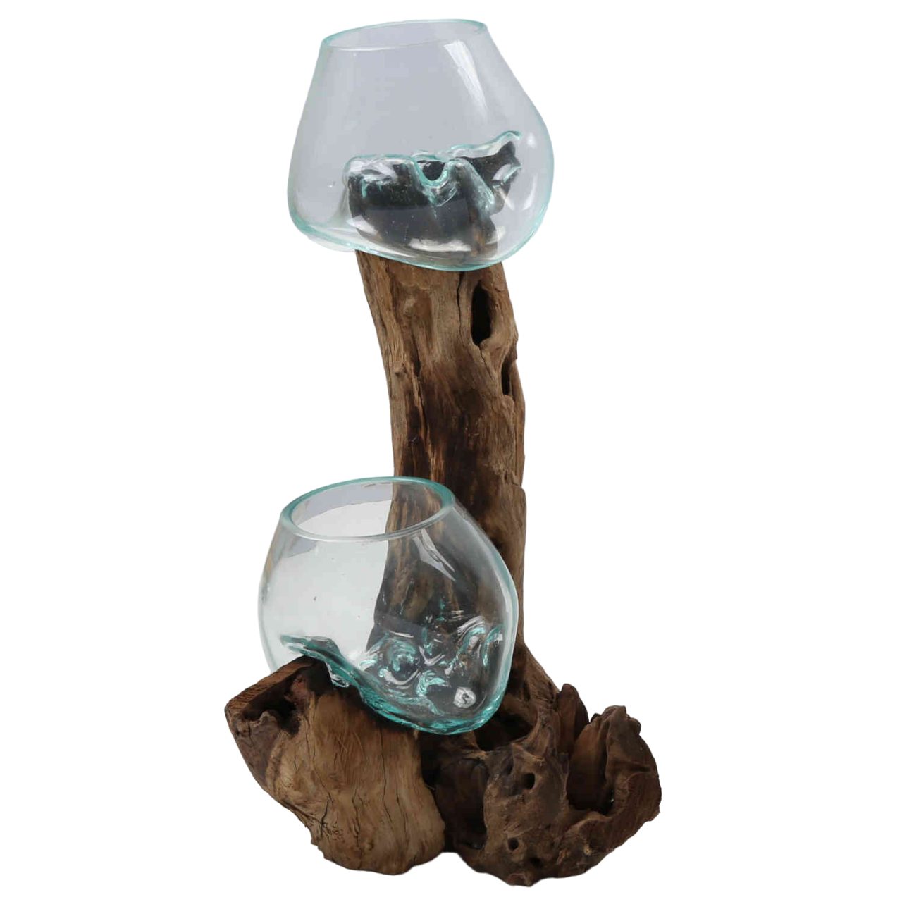 Casa Moro Dekovase Doppel-Glasvase auf Wurzelholz – Ø 15 cm Vase aus Glas auf Holz