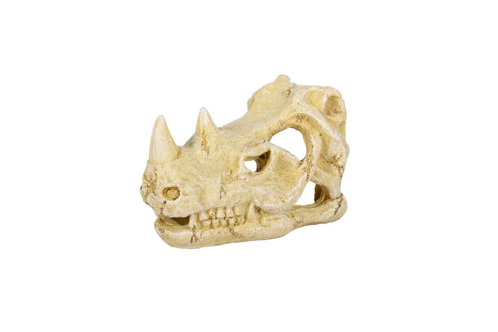 Terrarium ReptiZoo Nashornschädel (Rhino Skull Hide Cave) (ERS35)