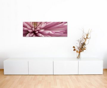 Sinus Art Leinwandbild Naturfotografie  Altrosa Blütenblätter auf Leinwand exklusives Wandbild moderne Fotografie für ihre