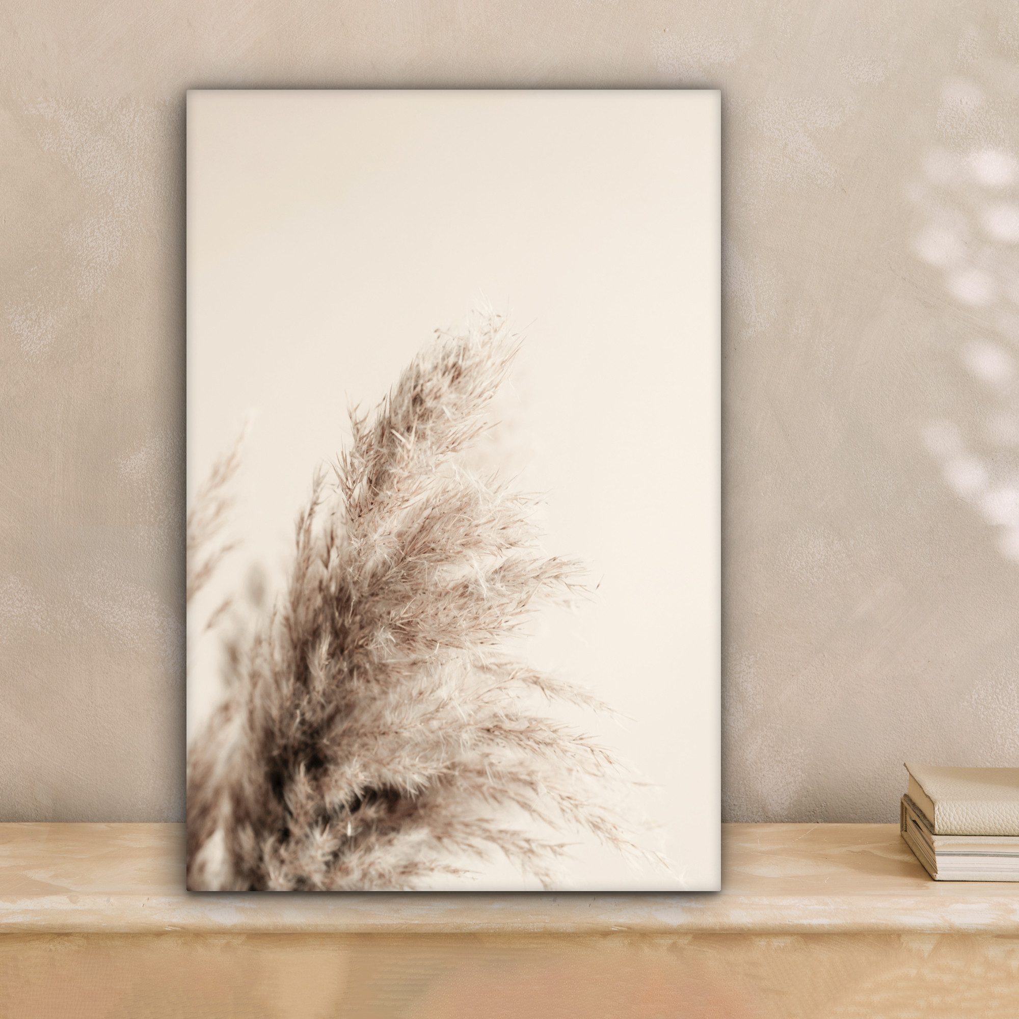 OneMillionCanvasses® Leinwandbild Pflanzen - Pampaswedel - Pampasgras - Bei günstig online kaufen