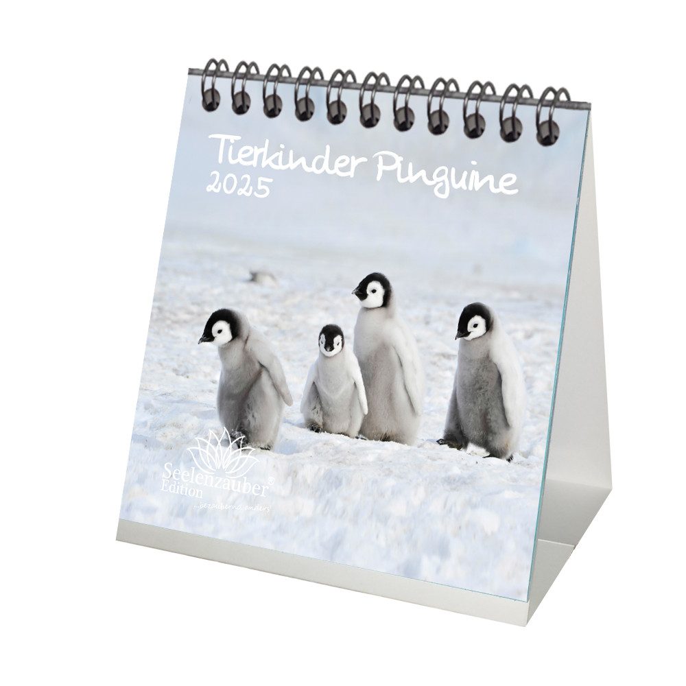 Seelenzauber Tischkalender Tierkinder Pinguine Kalender für 2025 Format 10cm x 10cm Pinguin