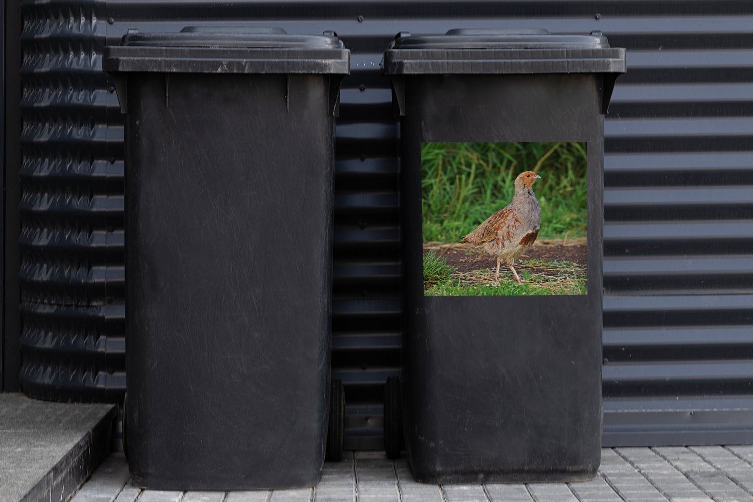 Sticker, Ein einem (1 Weg Wandsticker Container, MuchoWow Mülleimer-aufkleber, Mülltonne, St), auf schlammigen Rebhuhn Abfalbehälter