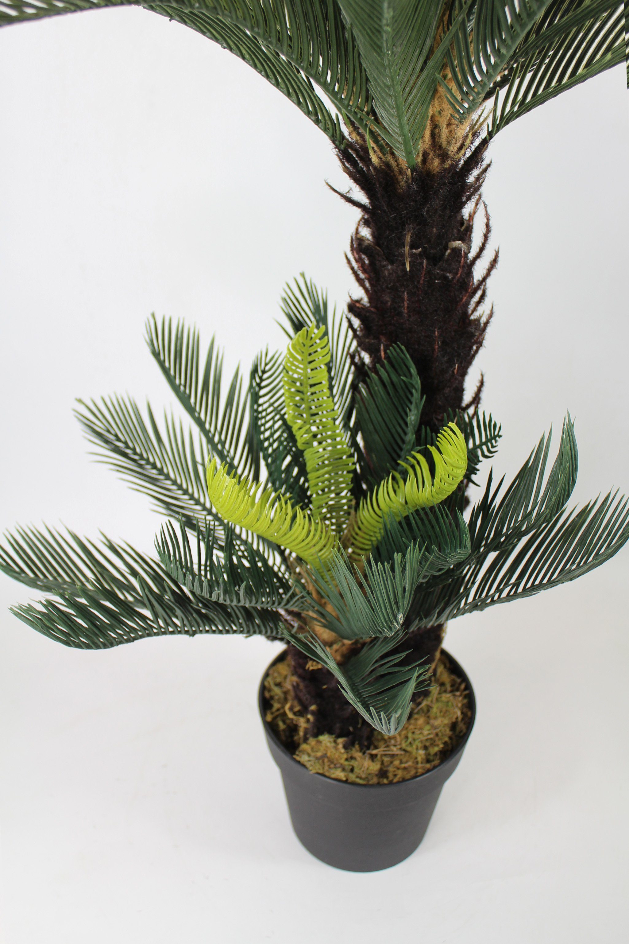 Kunstpalme künstliche Cycas Palme mit 41 Palmenwedel Kunstpflanze Cycas Palme, Arnusa, Höhe 100 cm, fertig im Topf wie echt