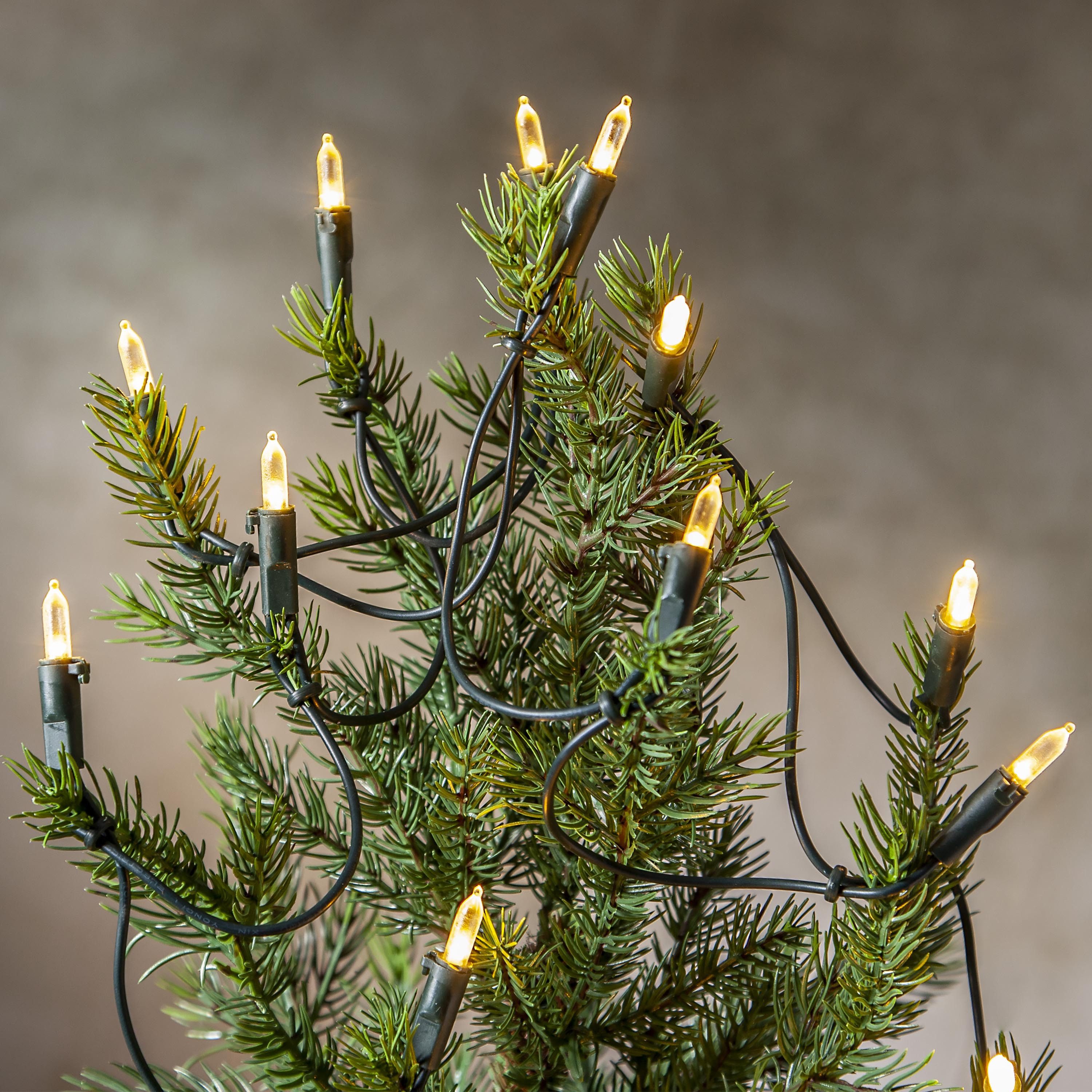STAR TRADING LED-Lichterkette P-LED Indoor, Lichterkette,P-LED Indoor', grün, 20 P-LEDs, 2,85m