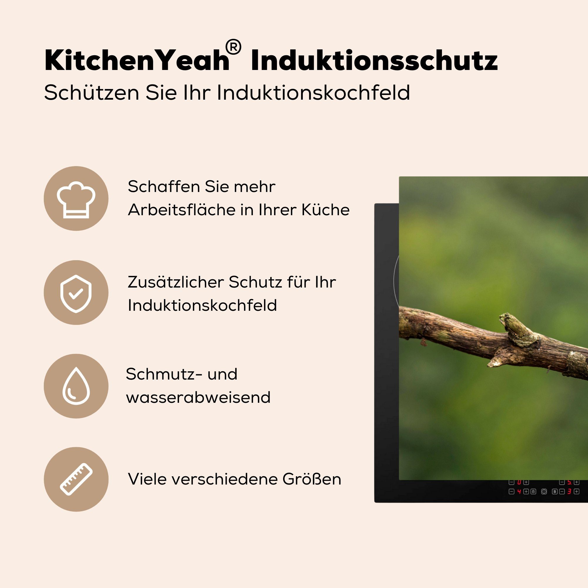 die Herdblende-/Abdeckplatte MuchoWow für cm, tlg), Äste Schutz Induktionskochfeld (1 - - Vogel, Wanderfalke Vinyl, 71x52 Ceranfeldabdeckung küche,