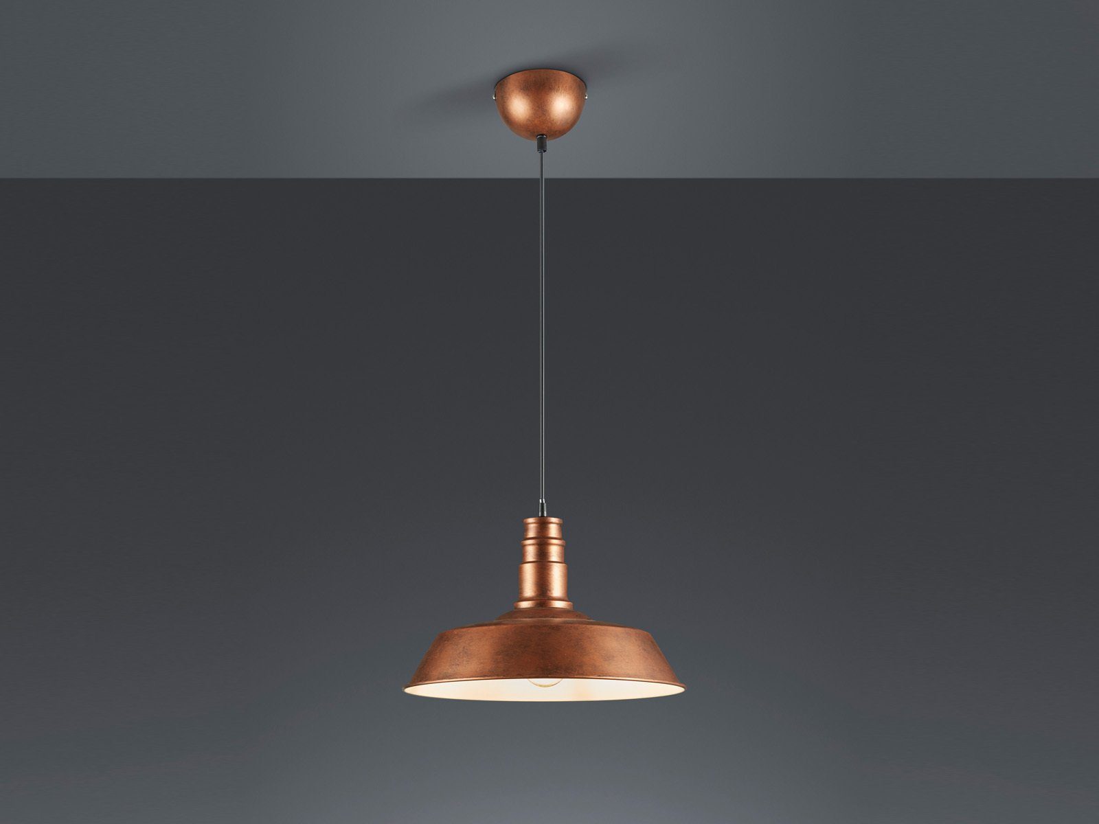 Reality Leuchten LED Pendelleuchte, LED wechselbar, günstig online kaufen