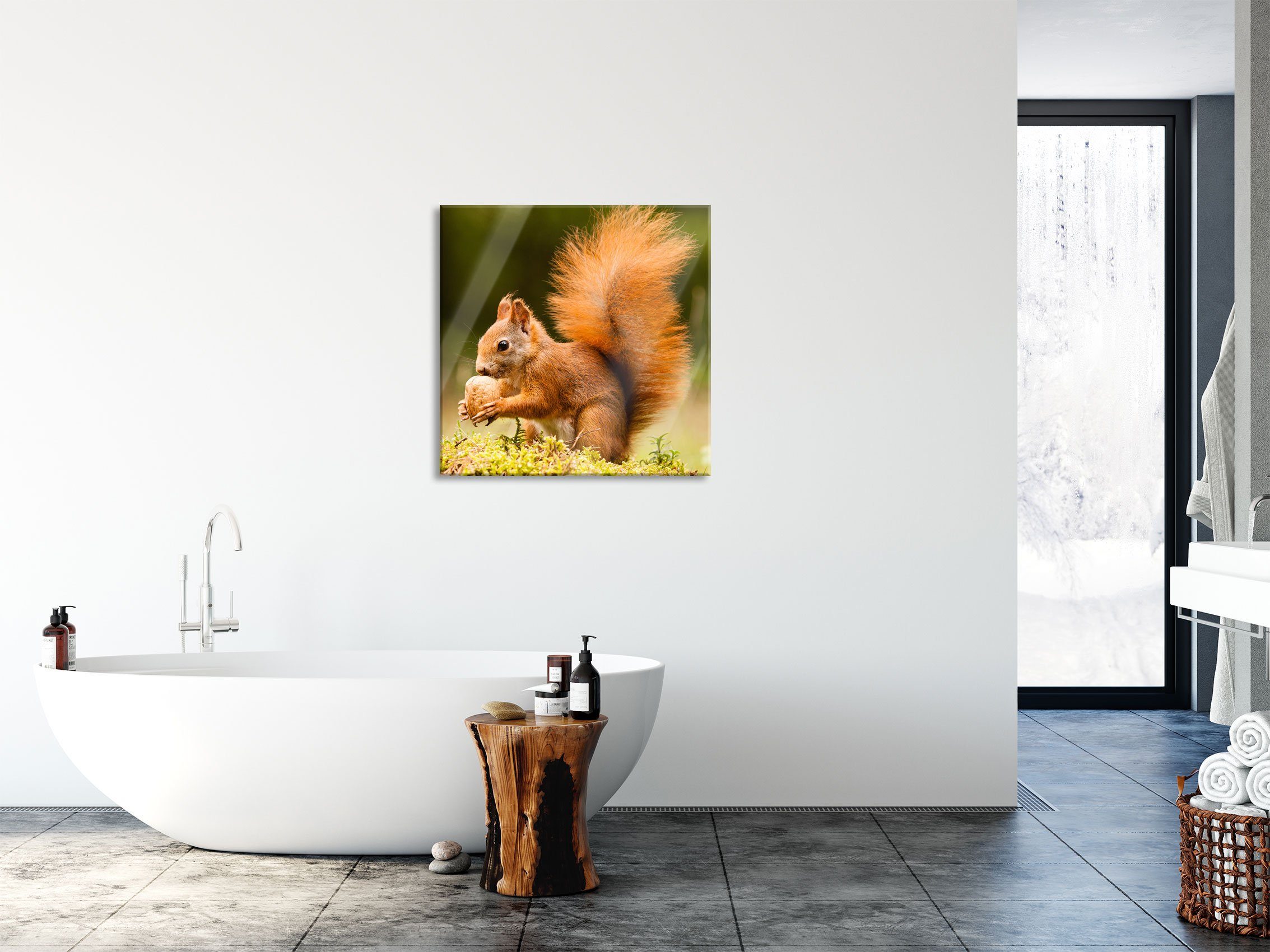 Nuss und Aufhängungen mit mit Glasbild aus Pixxprint Eichhörnchen St), (1 inkl. Abstandshalter Glasbild Echtglas, Nuss, Eichhörnchen