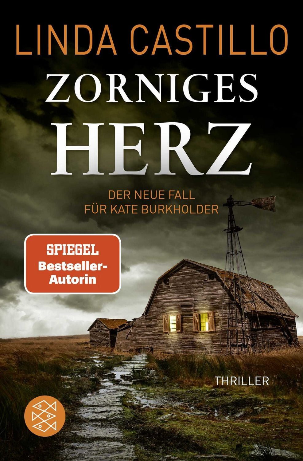 Zorniges Herz / Linda Castillo, Thriller, Spannender Thriller bei den Amischen