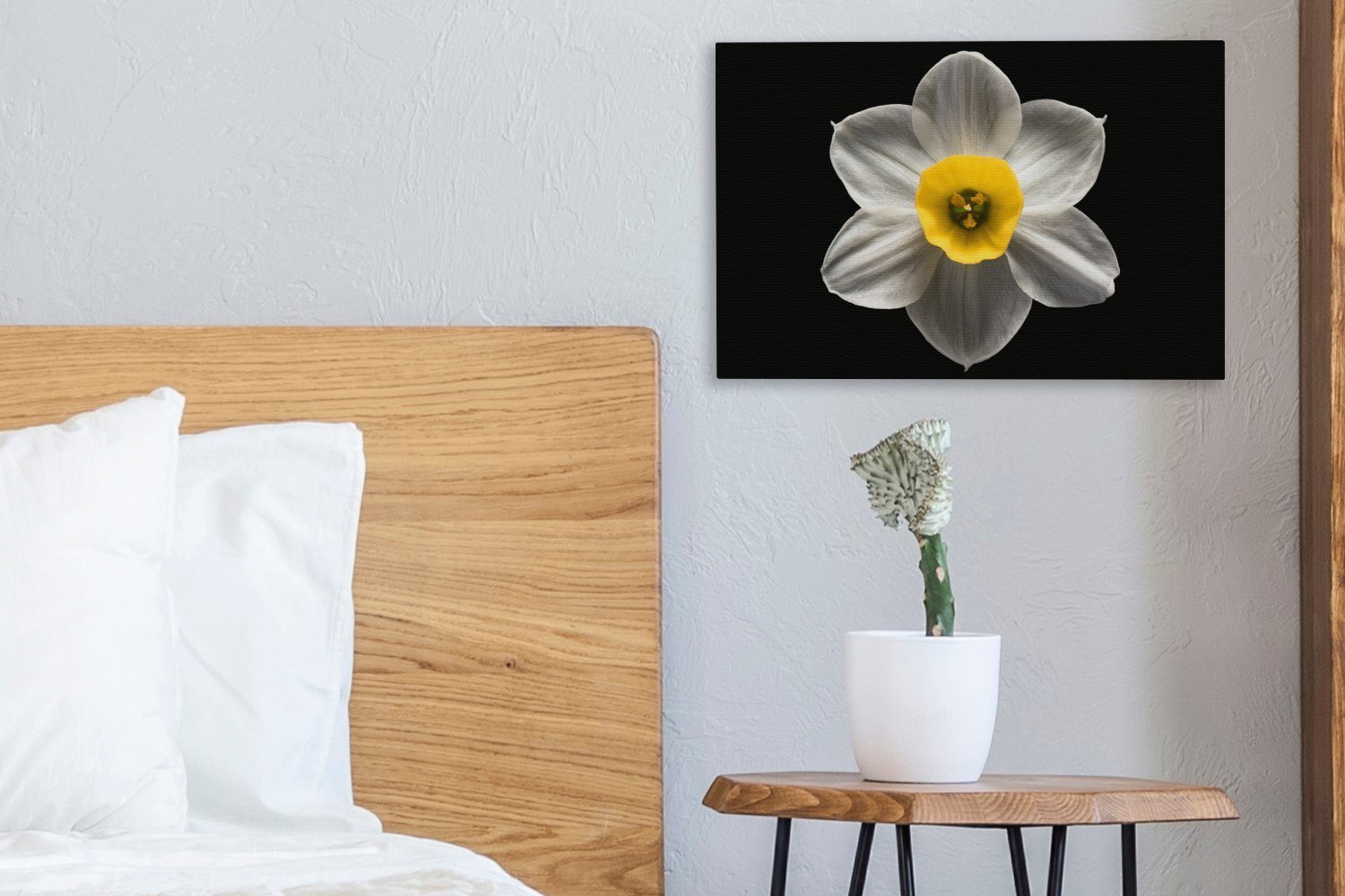 OneMillionCanvasses® Leinwandbild Eine Narzissenblüte schwarzem Aufhängefertig, Leinwandbilder, St), Wandbild Wanddeko, 30x20 cm (1 auf Hintergrund, weiße