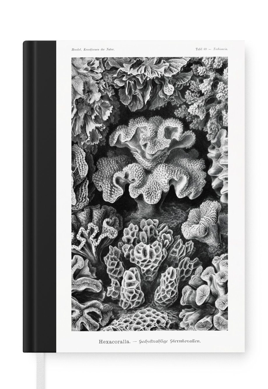 MuchoWow Notizbuch Kunst - Koralle - Ernst Haeckel - Alte Meister - Natur, Journal, Merkzettel, Tagebuch, Notizheft, A5, 98 Seiten, Haushaltsbuch