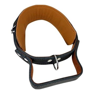 MediMuc Hunde-Halsband Hundehalsband mit Griff, Lederhalsband, Griffhalsband