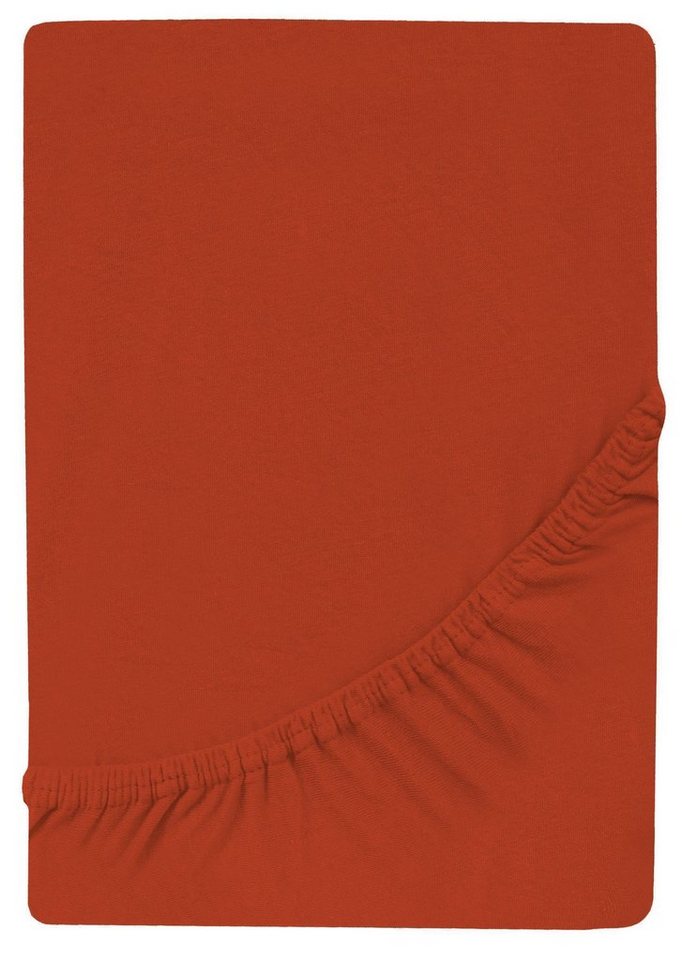 GREEN MARK Textilien Spannbettlaken Jersey Spannbetttuch in vielen Größen und Farben, 100% Baumwolle, Gummizug: rundum, (1 Stück), Jersey Spannbettlaken, Spannbetttuch in vielen Größen und Farben