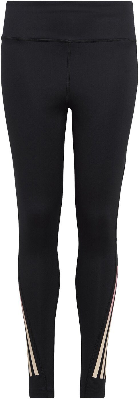 adidas Performance Funktionsleggings | Sport-Leggings