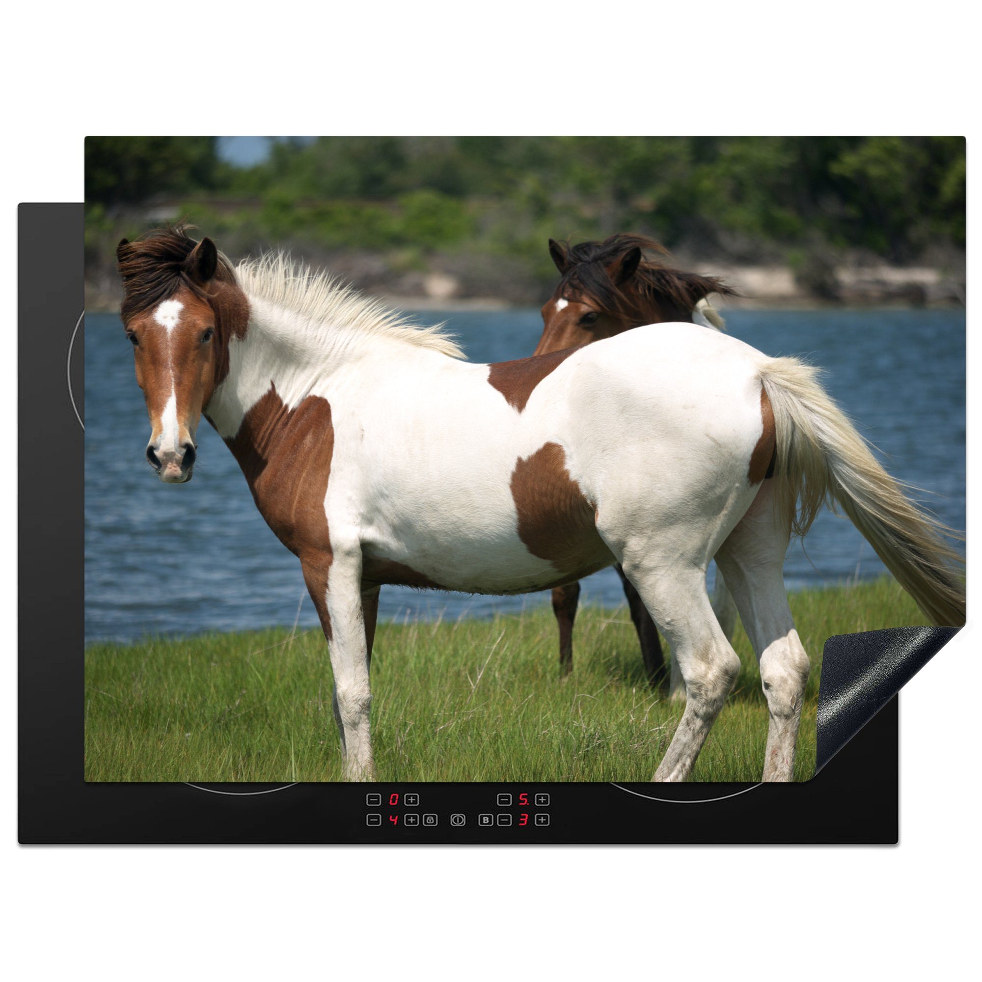 MuchoWow Herdblende-/Abdeckplatte Pferde - Weiß - Wasser, Vinyl, (1 tlg), 70x52 cm, Mobile Arbeitsfläche nutzbar, Ceranfeldabdeckung