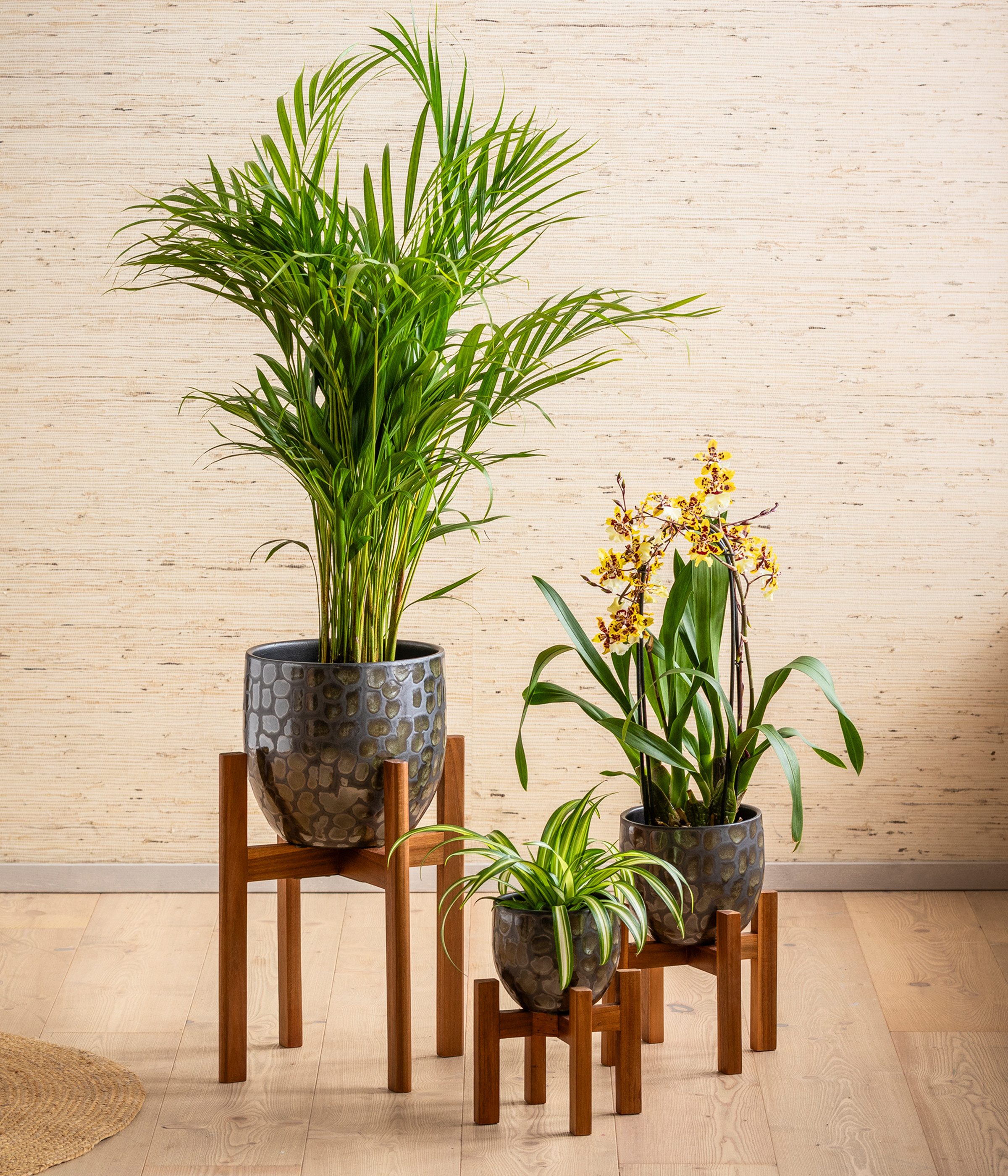 Dehner Übertopf Neyla, bauchige Form, Keramik, versch. Farben, handgefertigter Indoor Blumentopf mit matter Oberfläche