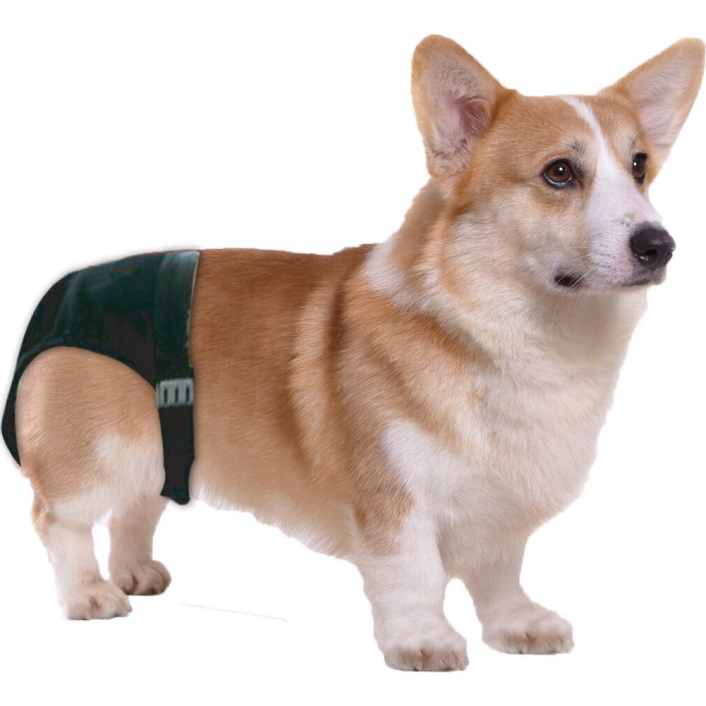 Pawise Hundeweste Sanitary Pants 0