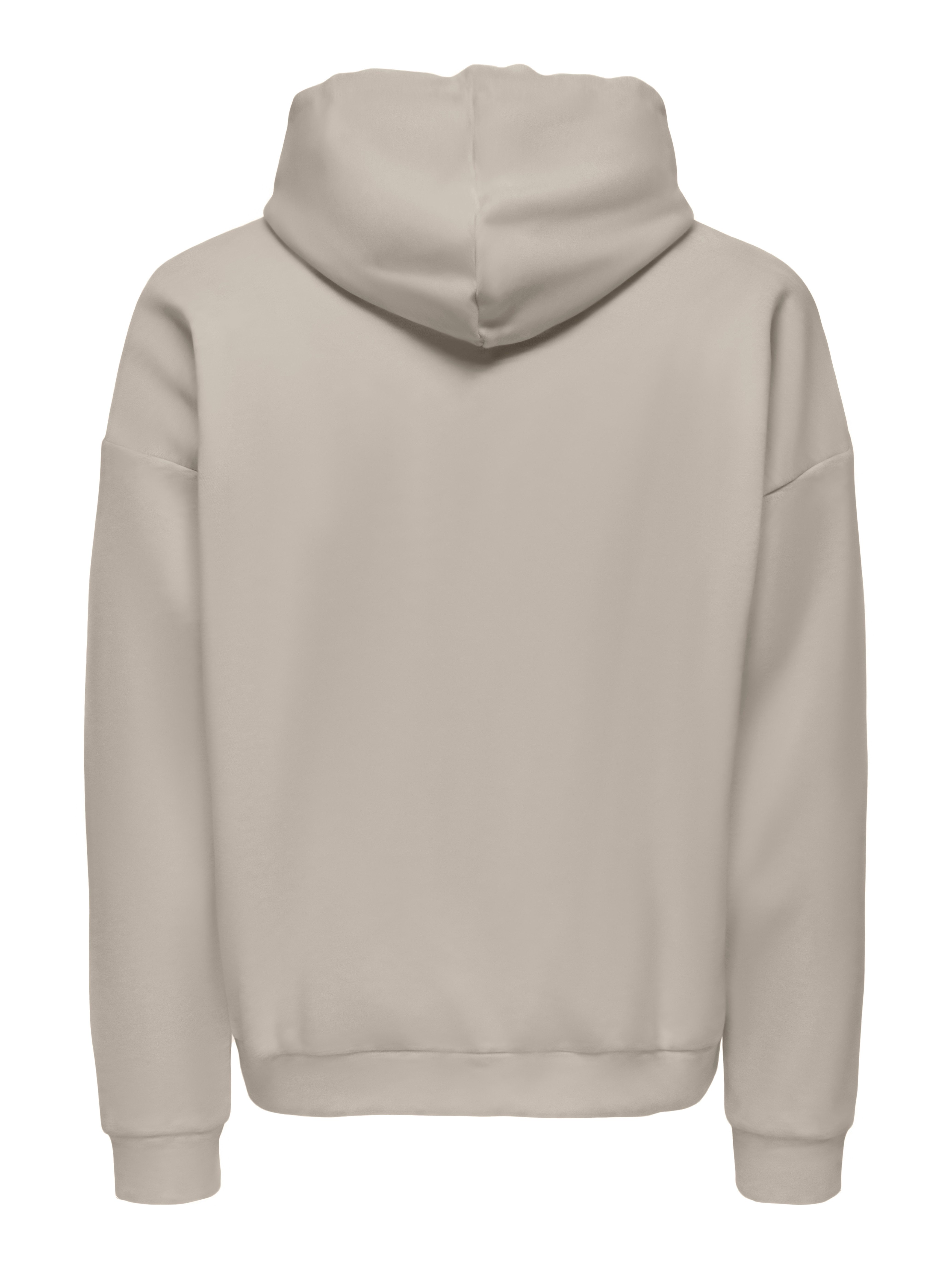 ONLY & SONS Kapuzensweatshirt ONSCHASE REG ZIP HOOD OTL