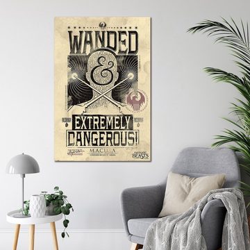 PYRAMID Poster Fantastic Beasts Poster Wanded & Extremely Dangerous 61 x