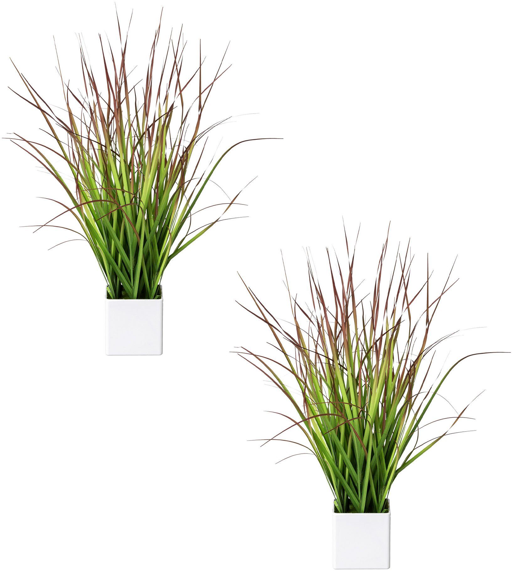 Kunstgras Blutgras, Creativ green, Höhe 46 cm, im weißen Kunststofftopf