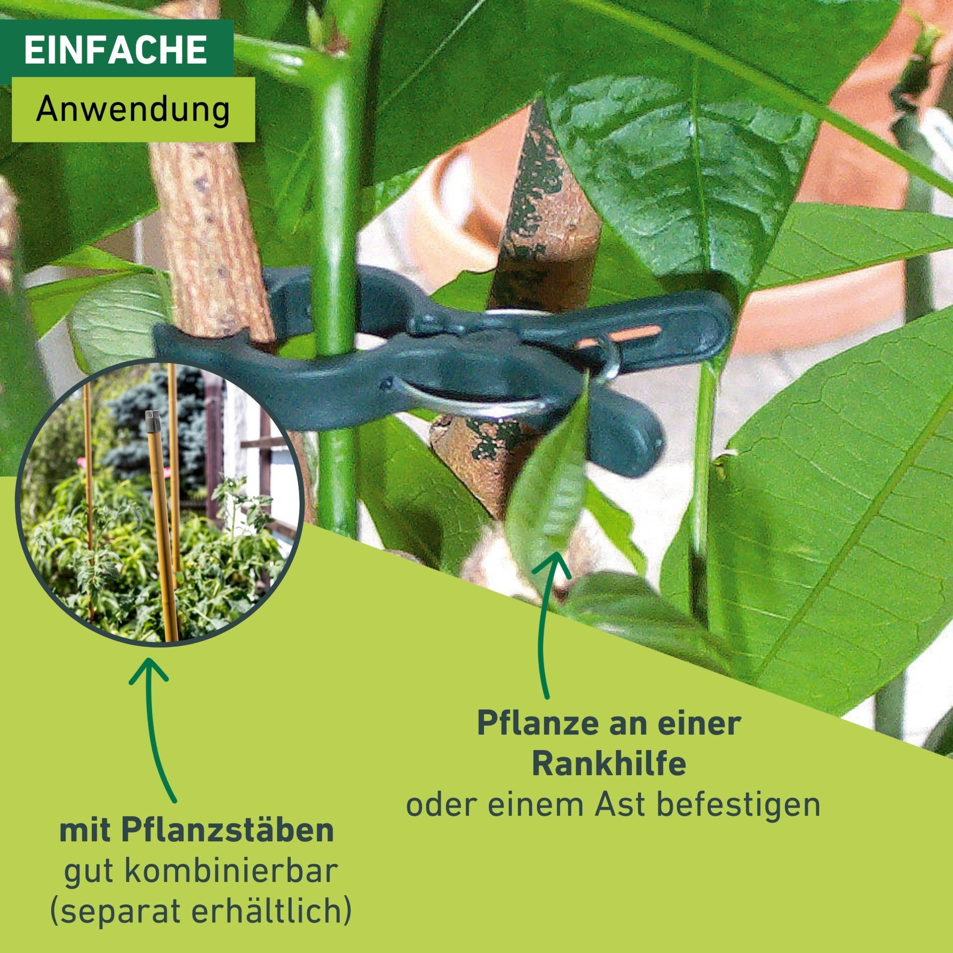 Windhager Rankhilfe Pflanzenclips Fix zum befestigen von Ästen, Pflanzklammern 12 Stk. Packung, 12 St., Pflanzenhalter 7,5 x 5 cm, grün – Bild 5 von 5