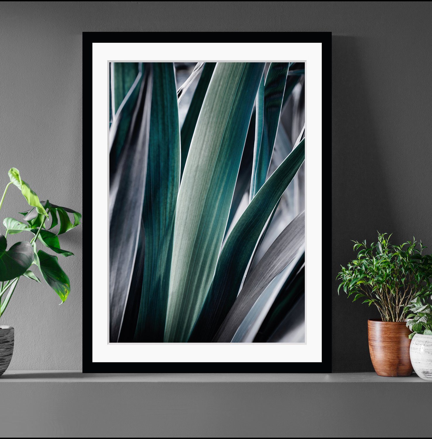 queence Bild Castiel, Blätter, Kunst, Pflanzen, Pflanzenbilder