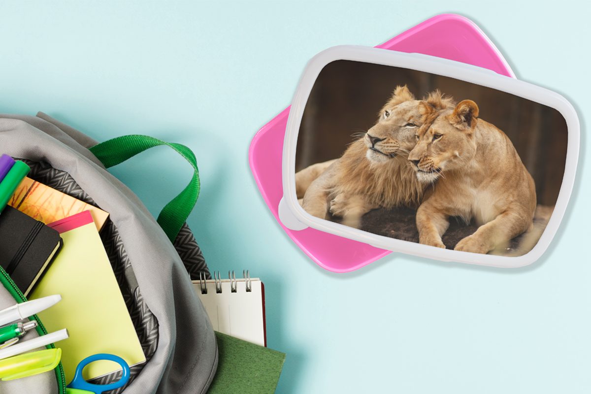 Kunststoff, Erwachsene, Brotbox - Kinder, - rosa Mädchen, Tiere, (2-tlg), für Kunststoff MuchoWow Braun Brotdose Löwen Snackbox, Lunchbox