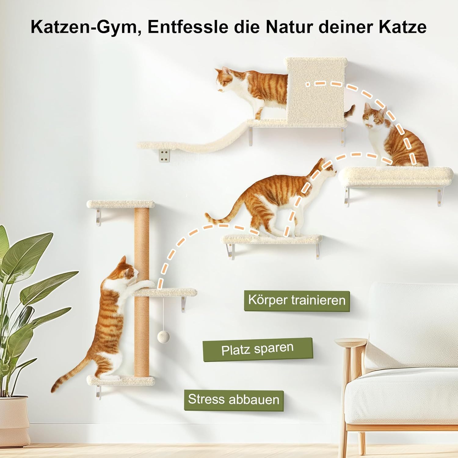 SpionProfi Katzen-Kletterwand Kletterwand Katzen Set Hängematte Katze Katzenhaus Katzenbrücke, 10-teiliges Katzen Kletterwand Set bis zu 18KG Gewicht