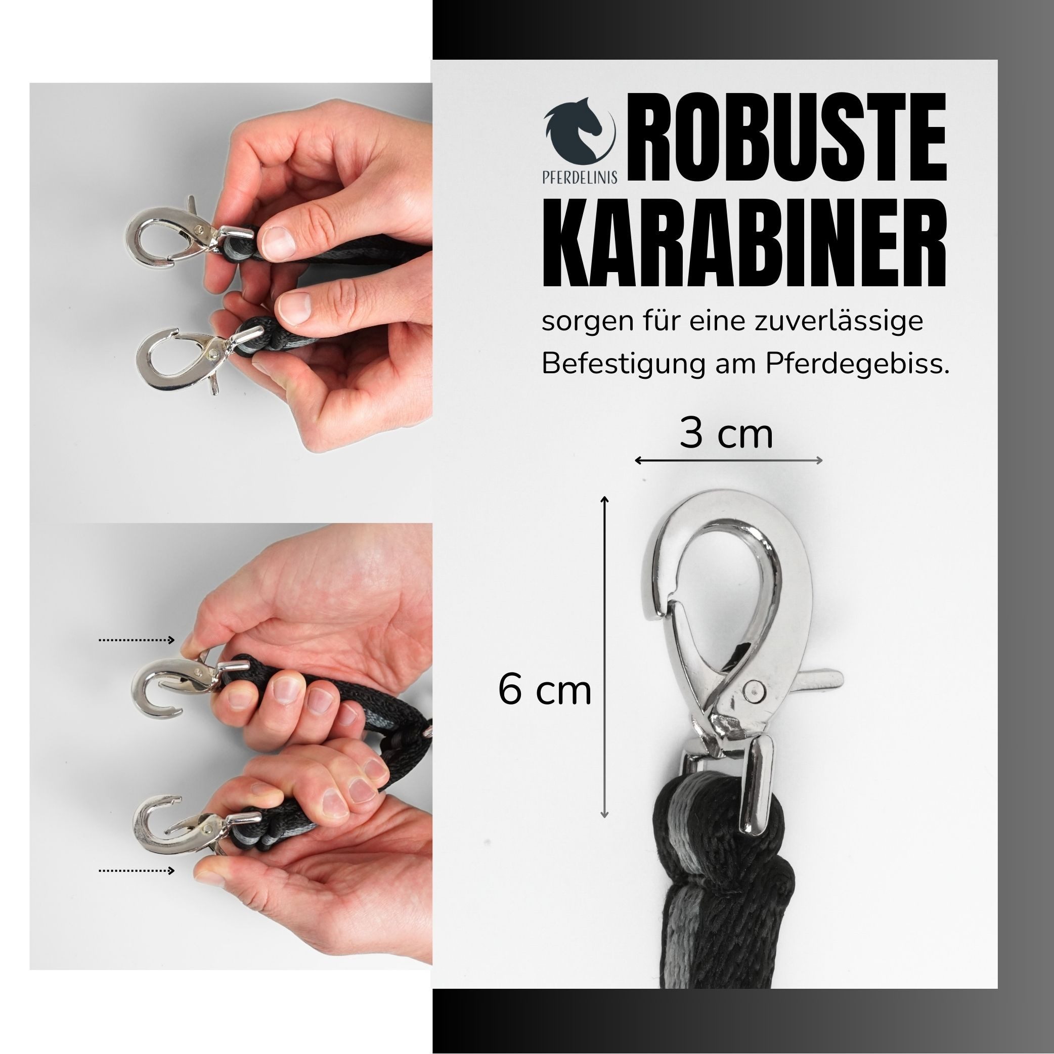Pferdelinis Führleine Longierbrille Pferd mit Karabiner, für Longieren, Gymnastizieren, Verbindung beider Gebissringe