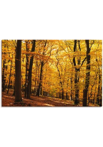 Artland Paveikslas »Spaziergang im Herbstwald«...