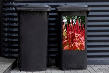 MuchoWow Wandsticker Leuchtend rote Farben der Amaranth-Pflanze in einem Wald (1 St), Mülleimer-aufkleber, Mülltonne, Sticker, Container, Abfalbehälter