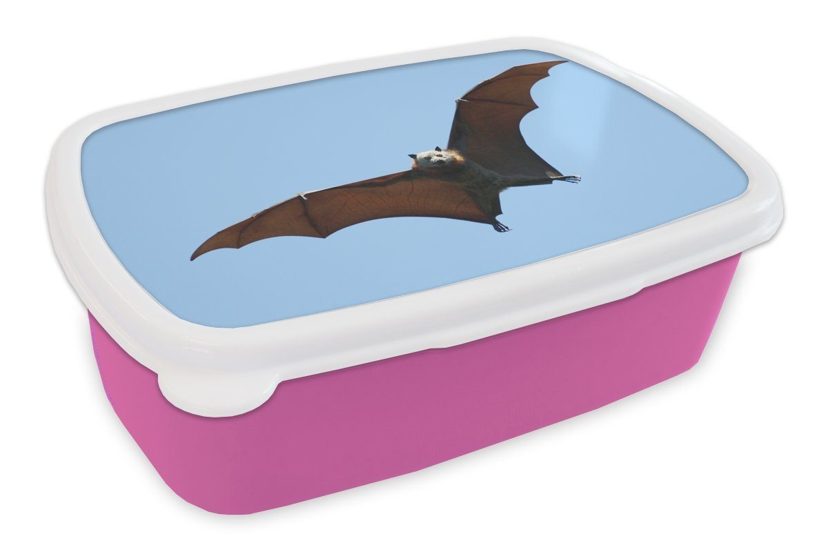 MuchoWow Lunchbox Fledermaus - Luft - Flügel, Kunststoff, (2-tlg), Brotbox für Erwachsene, Brotdose Kinder, Snackbox, Mädchen, Kunststoff rosa