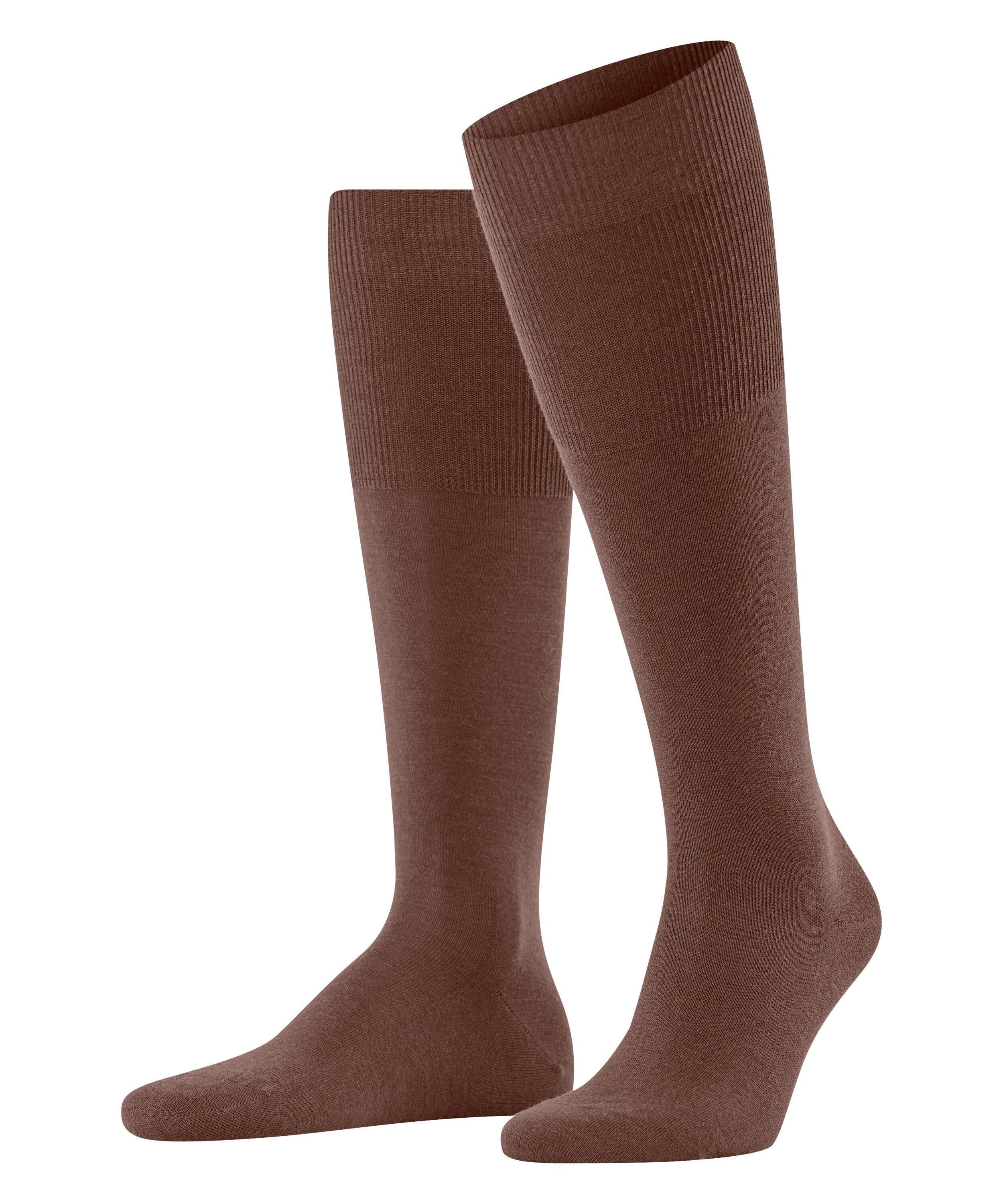 brandy (5167)