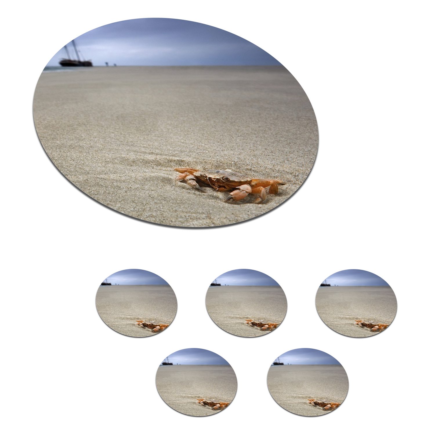 MuchoWow Glasuntersetzer Eine Krabbe am Strand der niederländischen Insel Terschelling, Zubehör für Gläser, 6-tlg., Getränkeuntersetzer, Tassenuntersetzer, Korkuntersetzer, Tasse, Becher