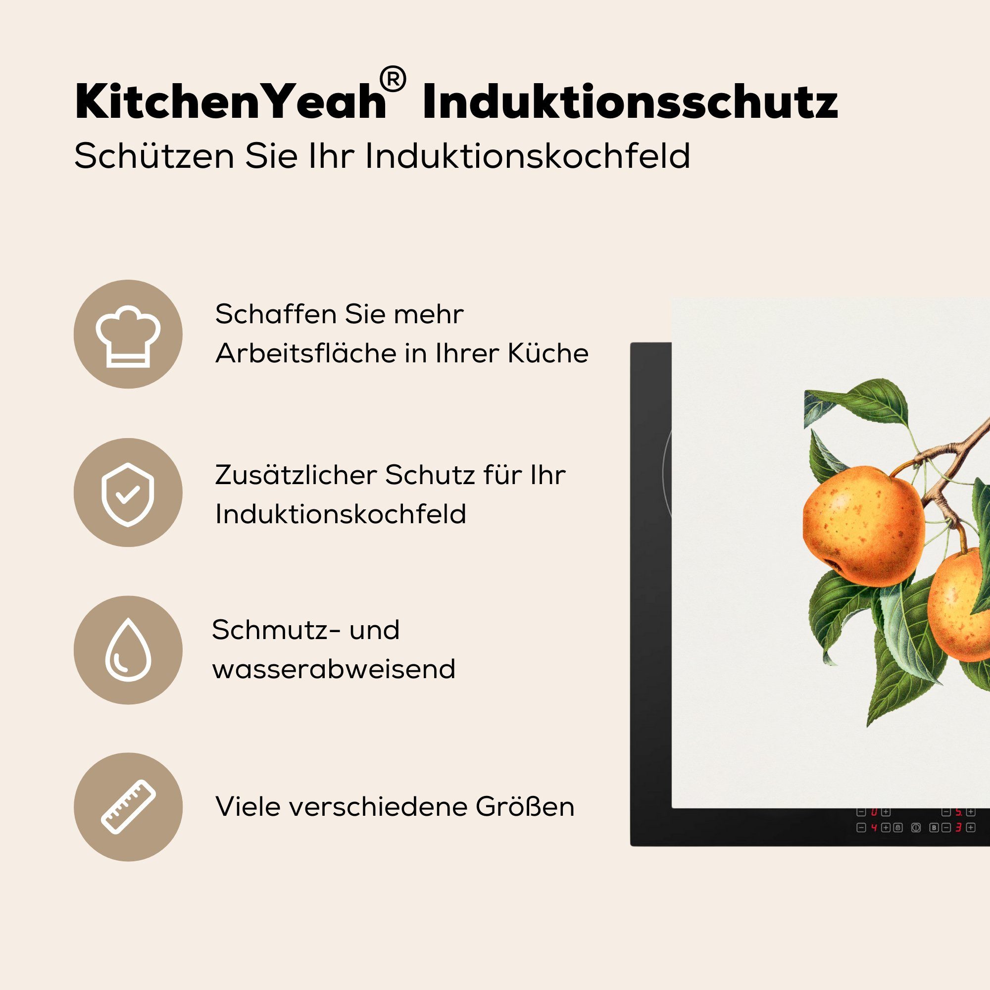 (1 Orange für küche Arbeitsplatte 78x78 cm, - - Obst Herdblende-/Abdeckplatte Ceranfeldabdeckung, MuchoWow tlg), Jahrgang, Vinyl,