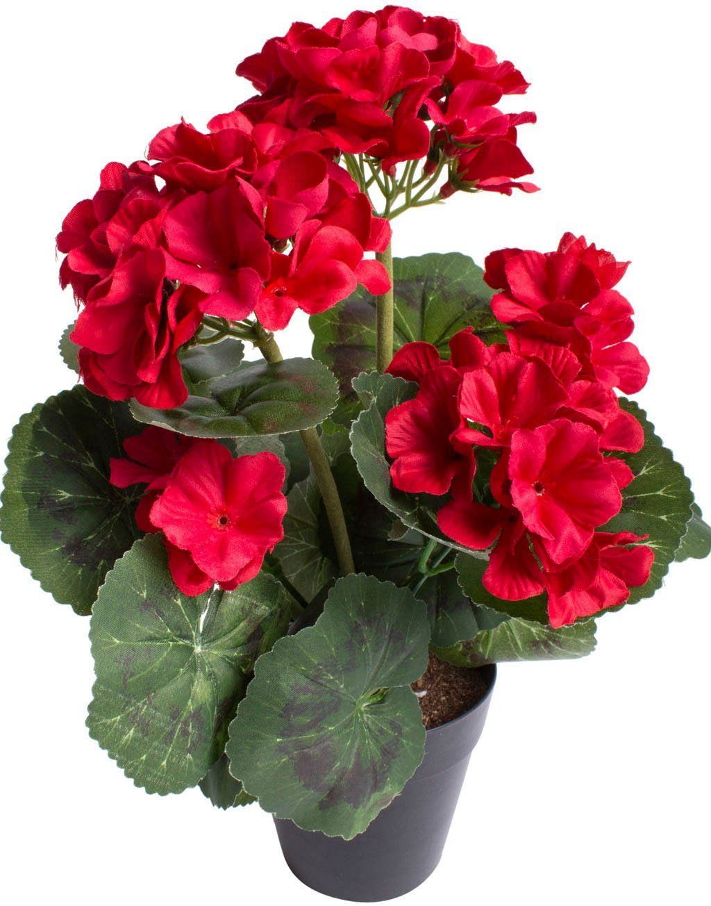 Kunstblume Geranienbusch mit 6 Blütenköpfen, Botanic-Haus, Höhe 30 cm