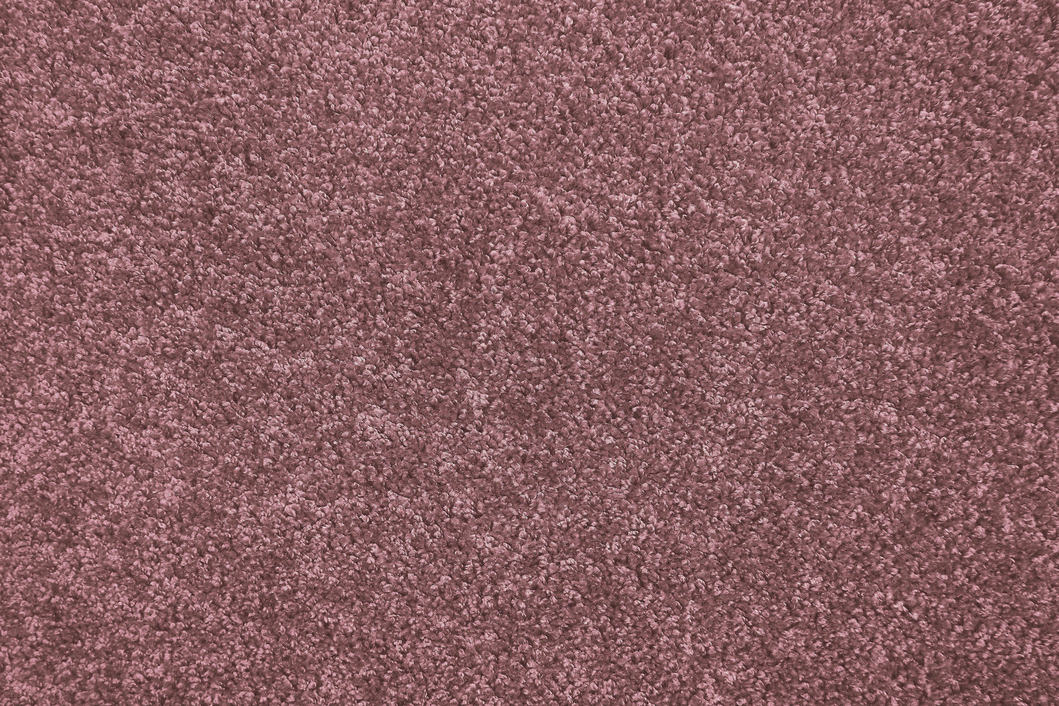 Andiamo Ковры Portland, Velours, Made in Netherlands, rechteckig, Höhe: 11 mm, Uni Farben, Breite 400 cm, Wohnzimmer, strapazierfähig, pflegeleicht