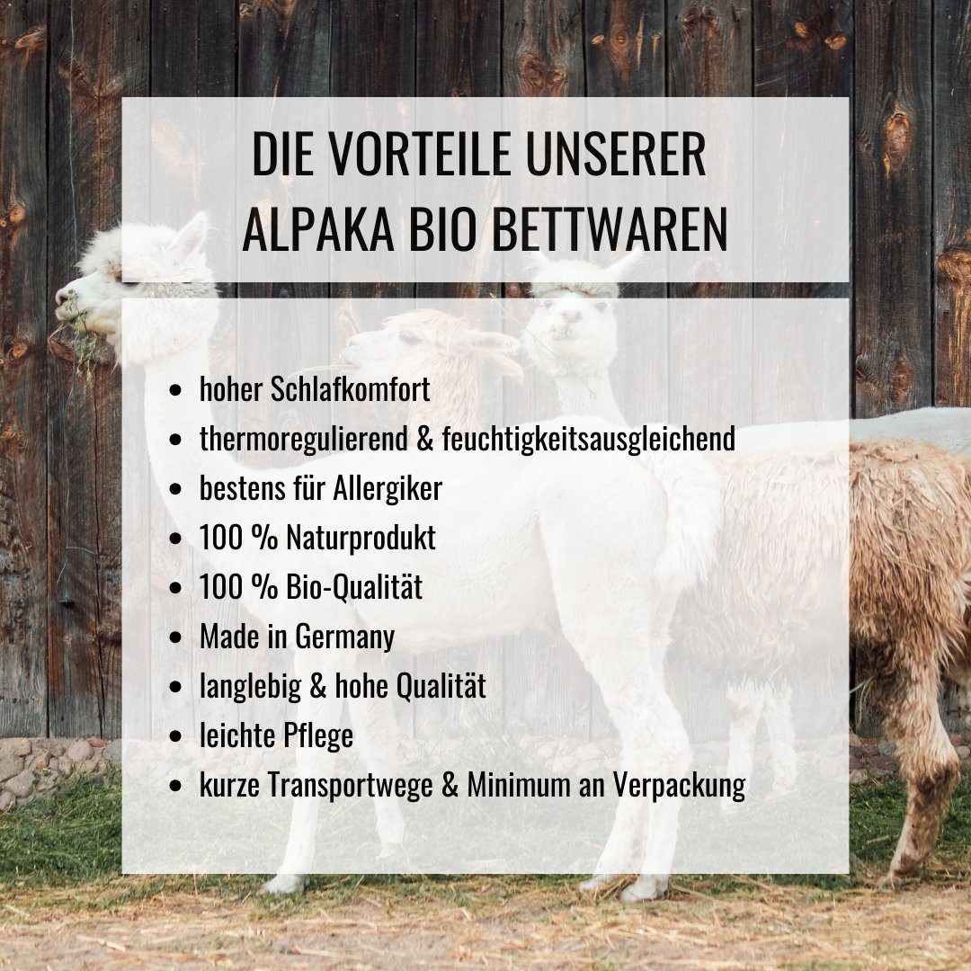 100% Qualität Innenbeutel Bio Kopfkissen rabens Alpaka Füllung: Bezug: Naturhaarkissen Handmade Premium Alpakawolle, Bio - Baumwolle, Bauwollsack - in mit 100% Germany, Bio EXTRA kbA organic, mit Alpakavlies, separatem