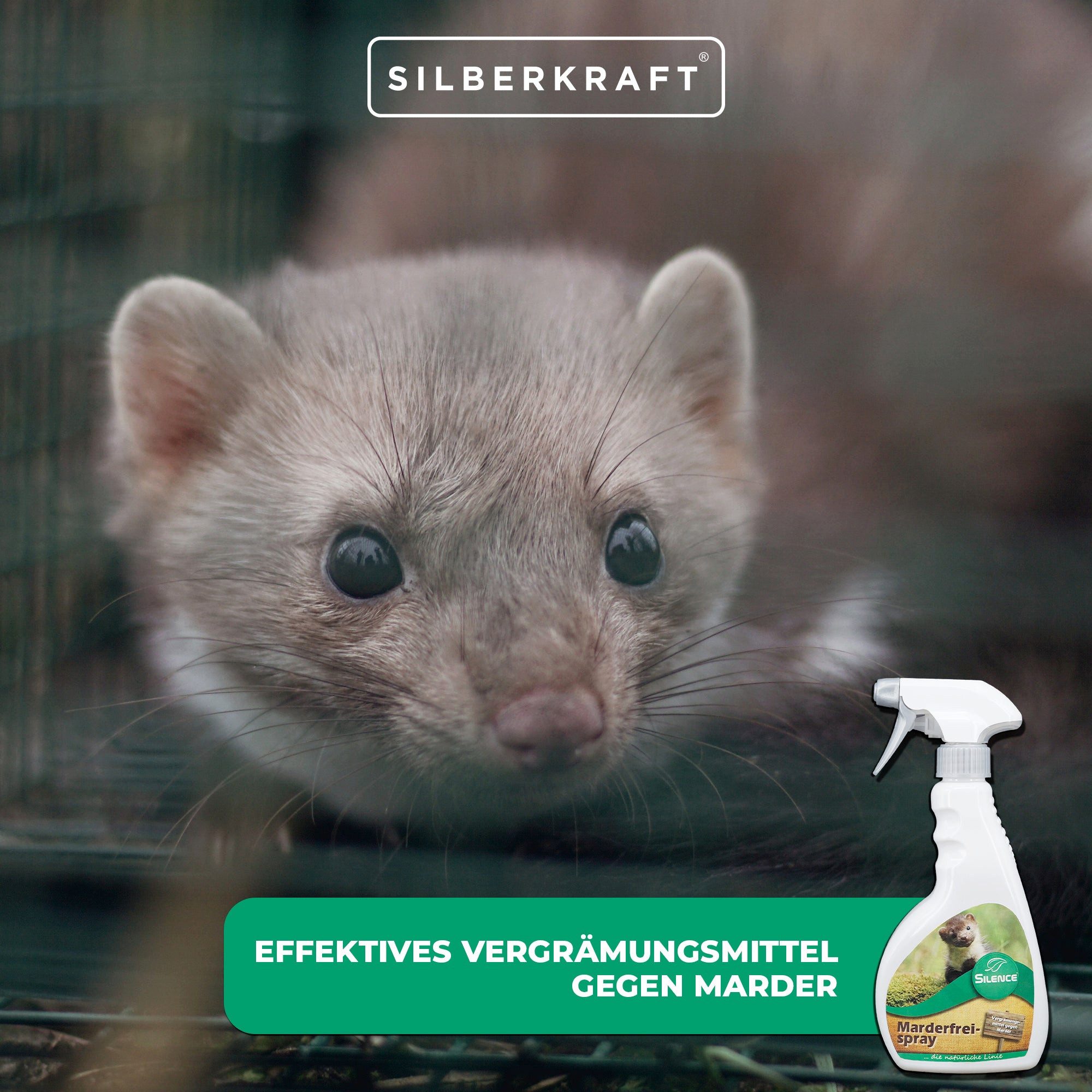 Silberkraft Marderspray Silence Marder-Frei Spray zur Marderabwehr am Auto, schützt Kabel, 500 ml, für Garage, Carport, Stellplatz und Parkplatz, einfache Anwendung