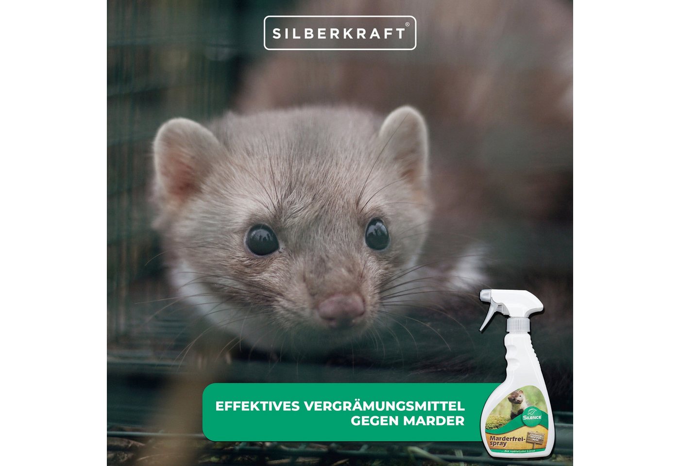 Thumbnail - Silberkraft Marderspray Silence Marder-Frei Spray zur Marderabwehr am Auto, schützt Kabel, 2000 ml, für Garage, Carport,...